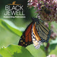 Black Jewell Gourmet Microwave Popcorn, Touch Of Butter, 10.5 Ounces (Pack Of 1)