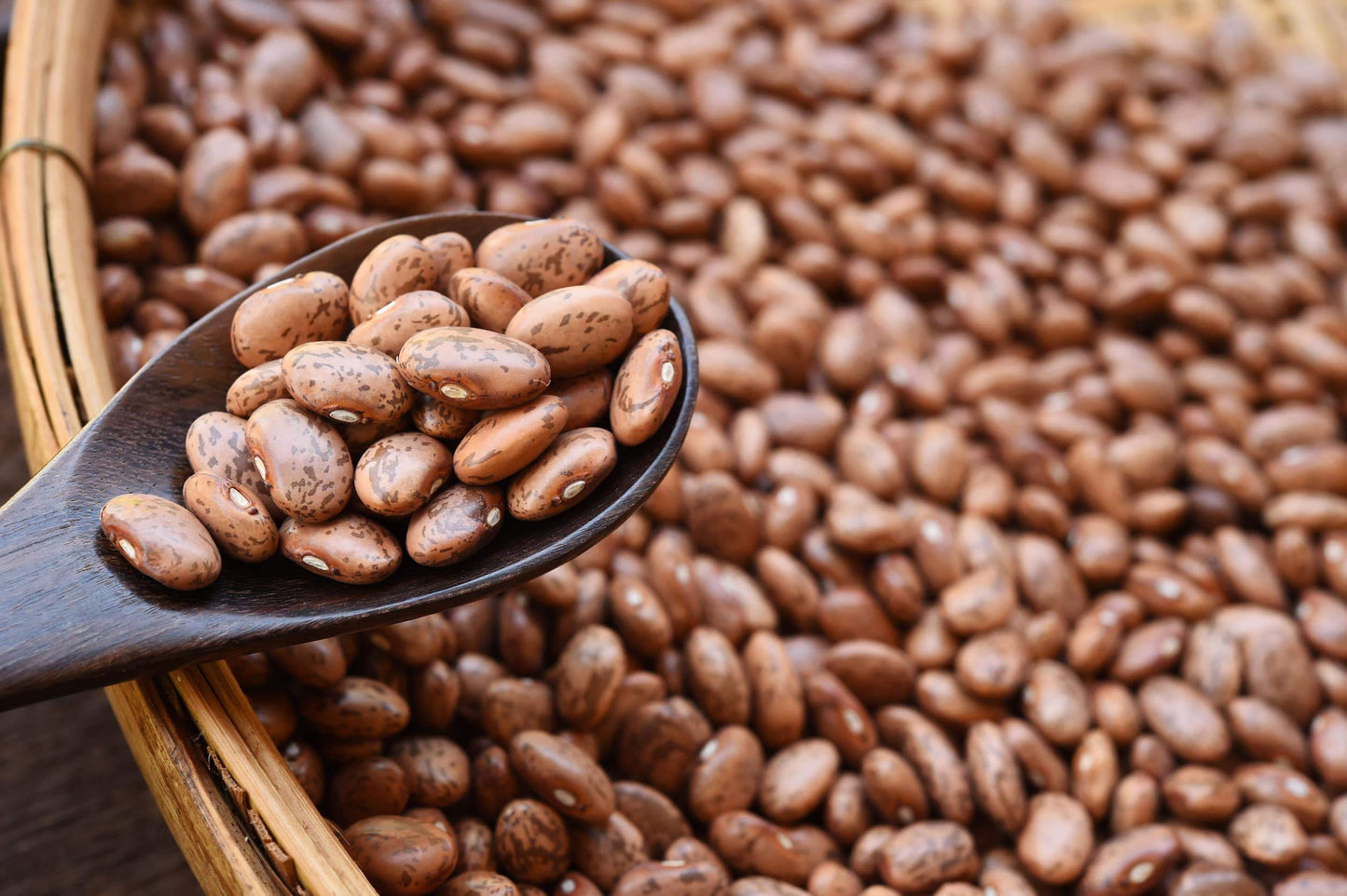 Food To Live Organic Pinto Beans, 15 Pounds Non-Gmo, Frijioles Pintos, Whole Dried Beans, Sproutable, Vegan, Kosher, Bulk. High In Iron, Potassium, Fiber, Protein. For Stews, Burritos, Tacos, Chili.
