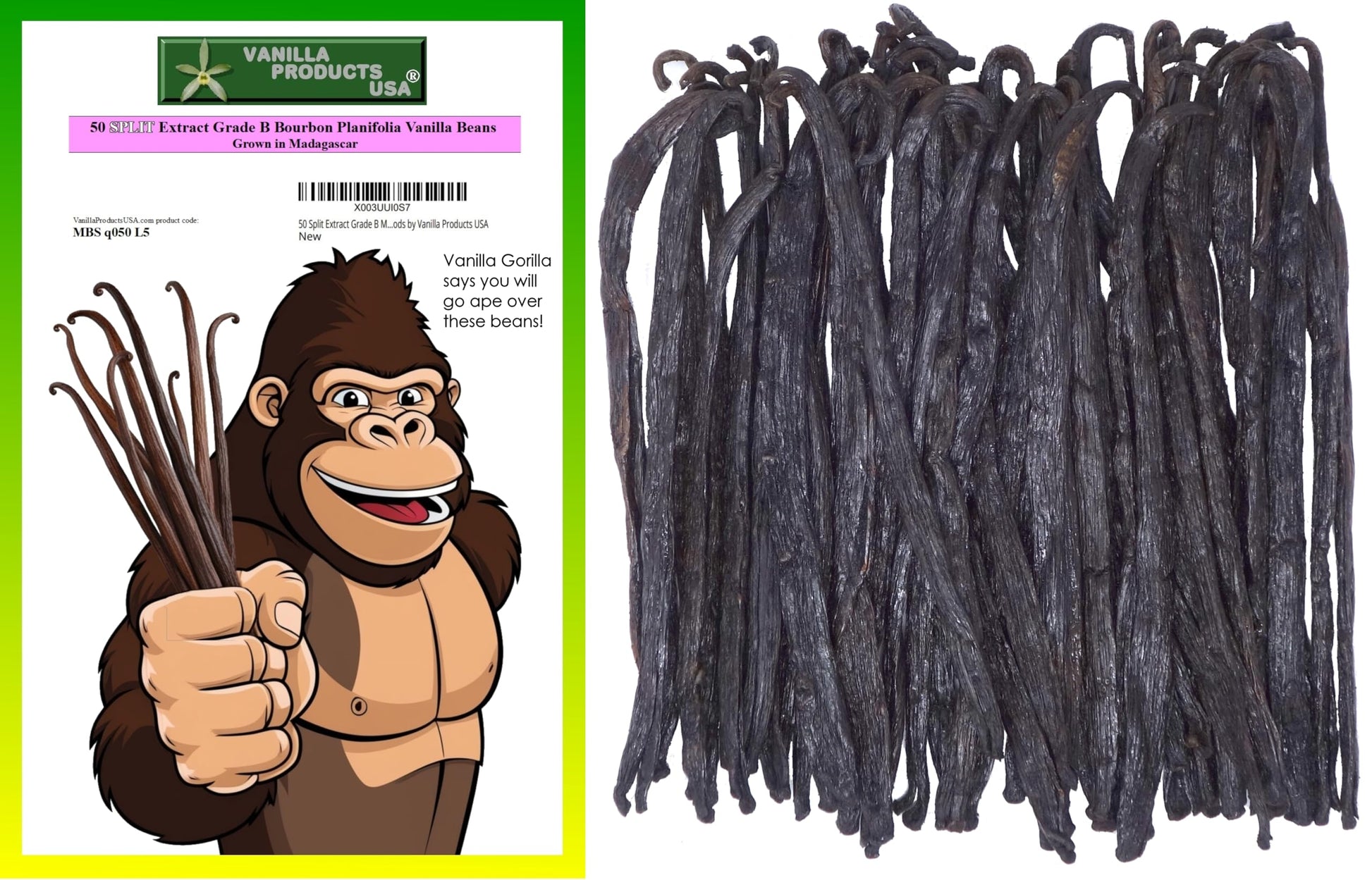 Vanilla Products USA Madagascar Bourbon Vanilla Beans, Grade B, 50 Count, 5-6 inches