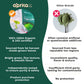 AprikaLife Premium Matcha Green Tea Powder - Organic Ceremonial Grade - 1.1 lbs - Japanese Origin