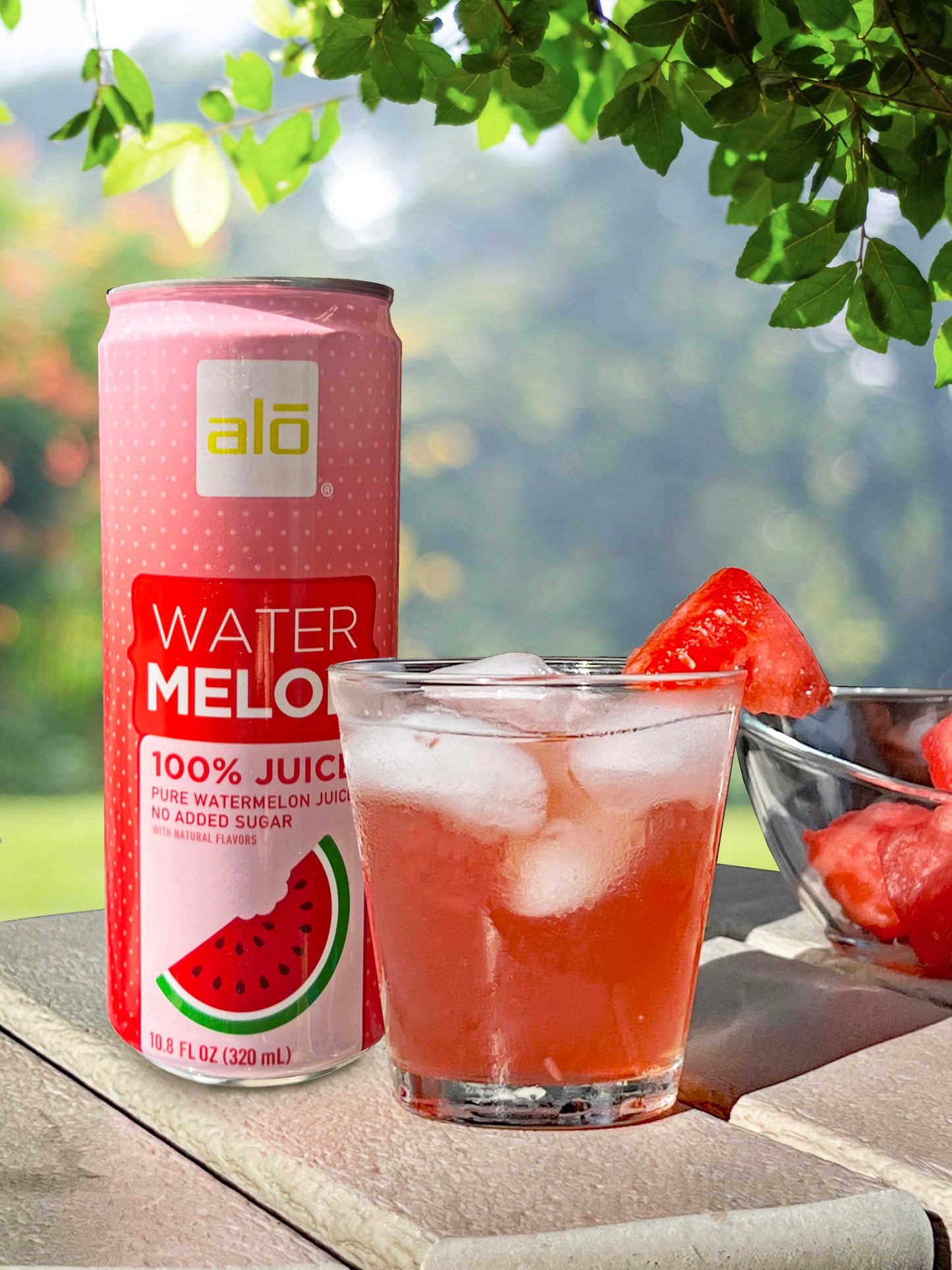 Alo Slim Can Juice | Watermelon Juice | Not From Concentrate | 10.8Oz Cans (Pack Of 12)