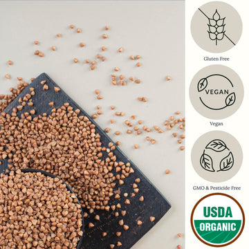 Organic Buckwheat Kasha Roasted (4.8 Lb) Be Still Farms - Grechka Buckwheat Cereal From Toasted Groats Bulk No Hulls - Easy To P