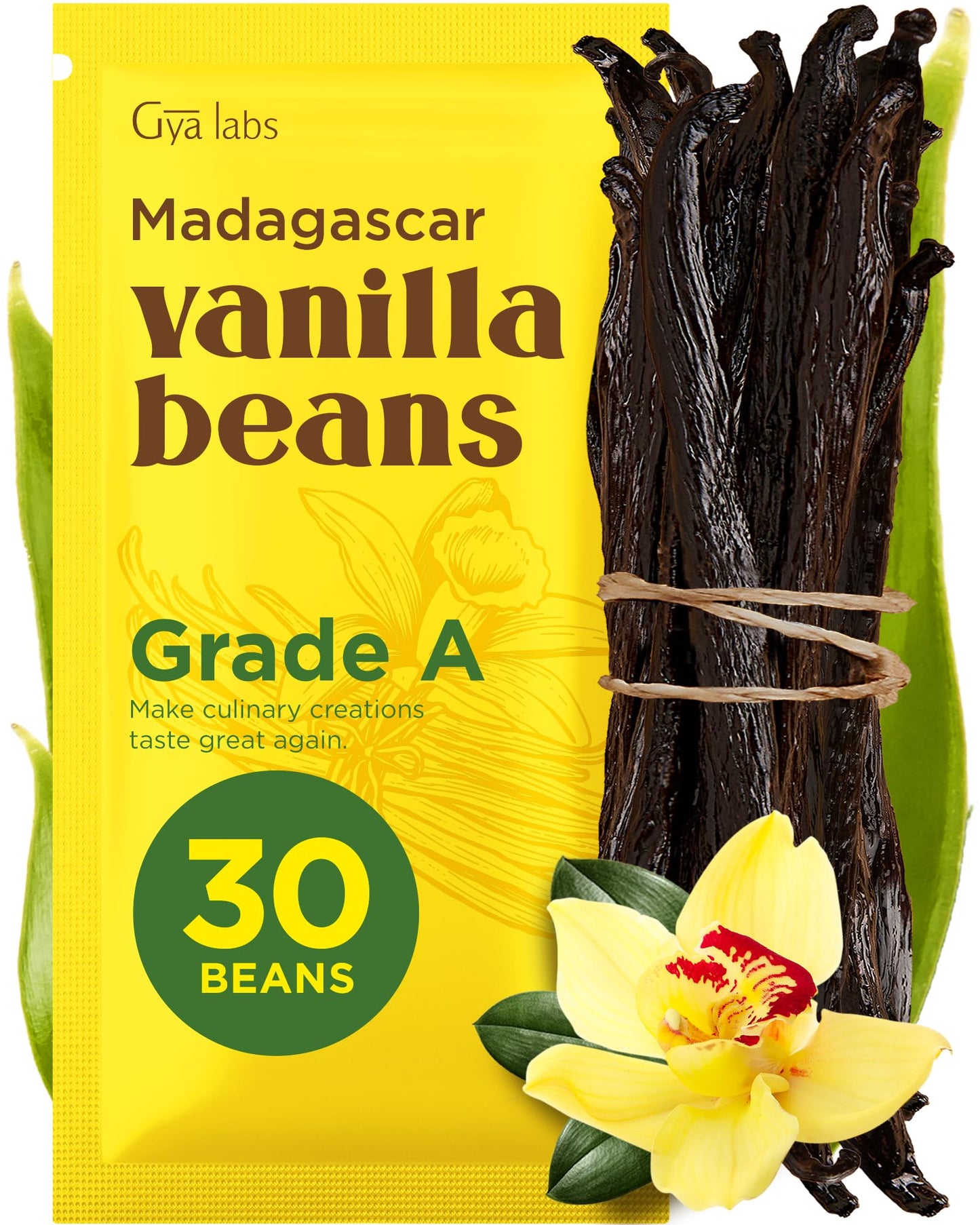 Gya Labs Madagascar Vanilla Beans - Grade A, 5-7 Inches Long, 30 Count