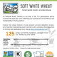 Soft White Wheat Berries | 15 Lbs | Family Farmed In Washington State | 100% Desiccant Free | Non-Gmo Project Verified | 100% No