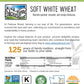 Palouse Brand Soft White Wheat Berries, Certified Glyphosate Residue Free, Non-GMO, 25 lbs, Family Farmed in Washington State