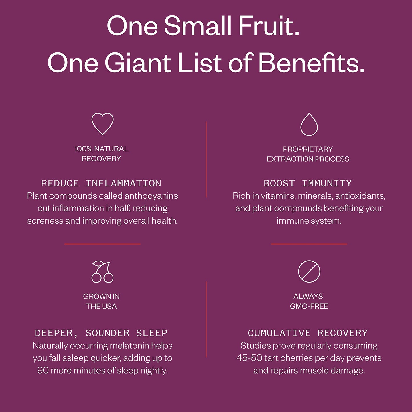 Cheribundi Pure Tart Cherry Juice - 100% Pure , No Sugar Added - Pro Athlete Post Workout Recovery - Fight Inflammation And Support Muscle Recovery Drinks For Runners, Cyclists And Athletes - 32 Oz (Pack Of 6)