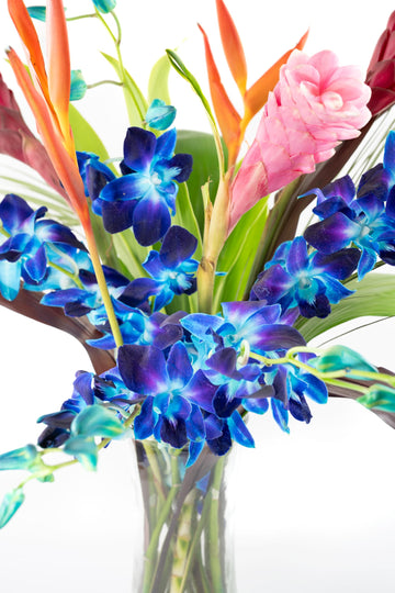 Fresh Orchids And Tropical Flower Bouquet, Perfect For Birthdays, Easter, Mother 'S Day, Anniversaries, Gifts, Etc. (Multicolor