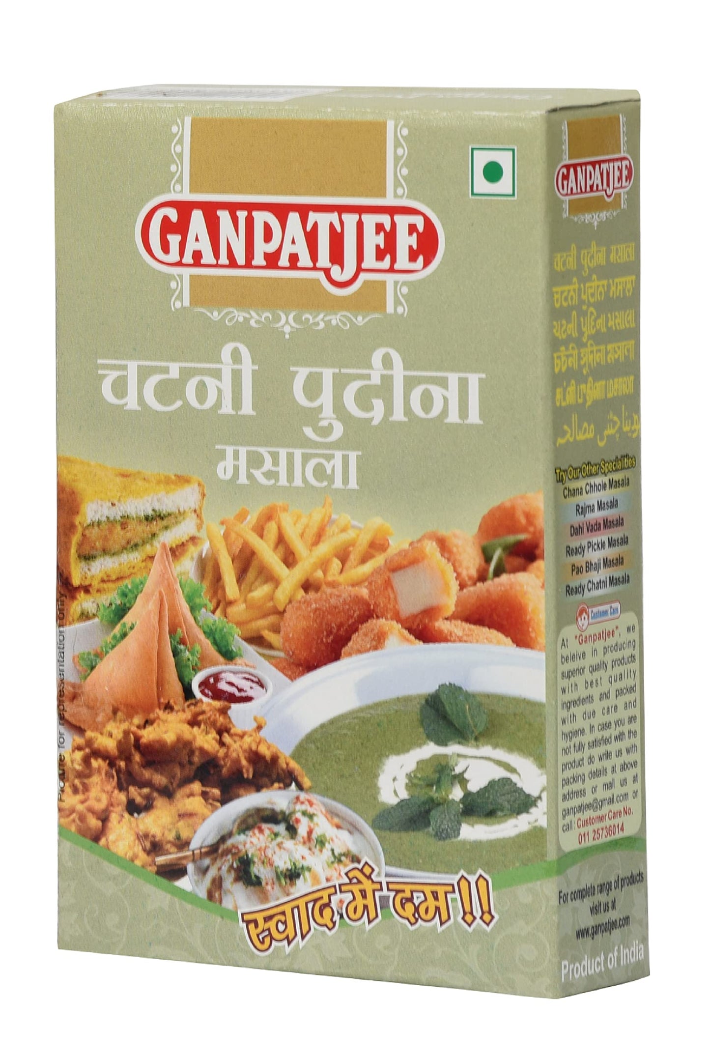 Ganpatjee Pudina Chutney Masala, 200G | Pack Of 100G X 2 | Ready To Use Mint Chutney Masala