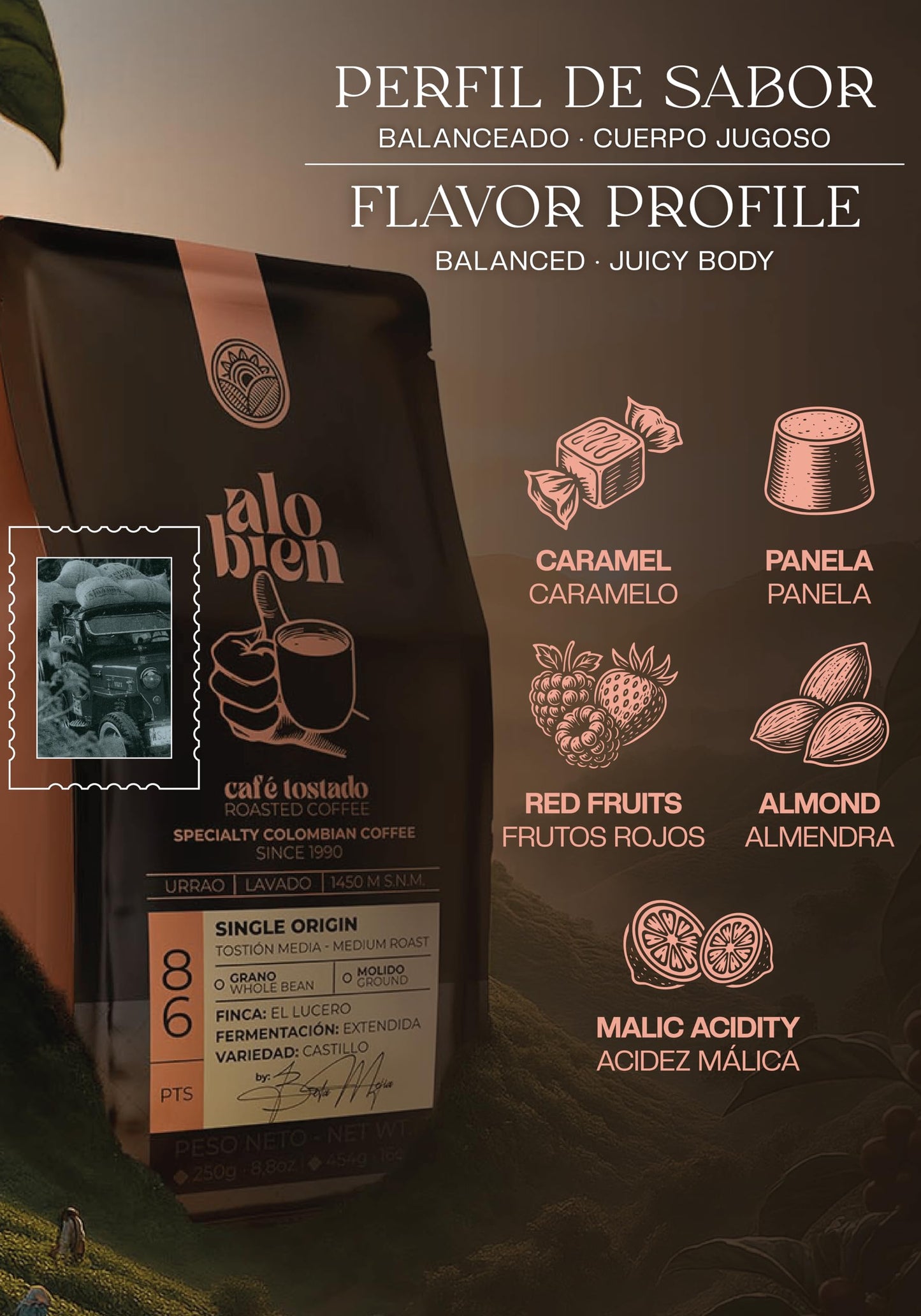 Lattenda Alo Bien Specialty Coffee Whole Bean Café Especial Colombiano 1 LB