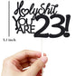 Happy 23Rd Birthday Cake Topper - Black Glitter, Funny Cake Topper For Men & Women, 23Rd Birthday Decorations