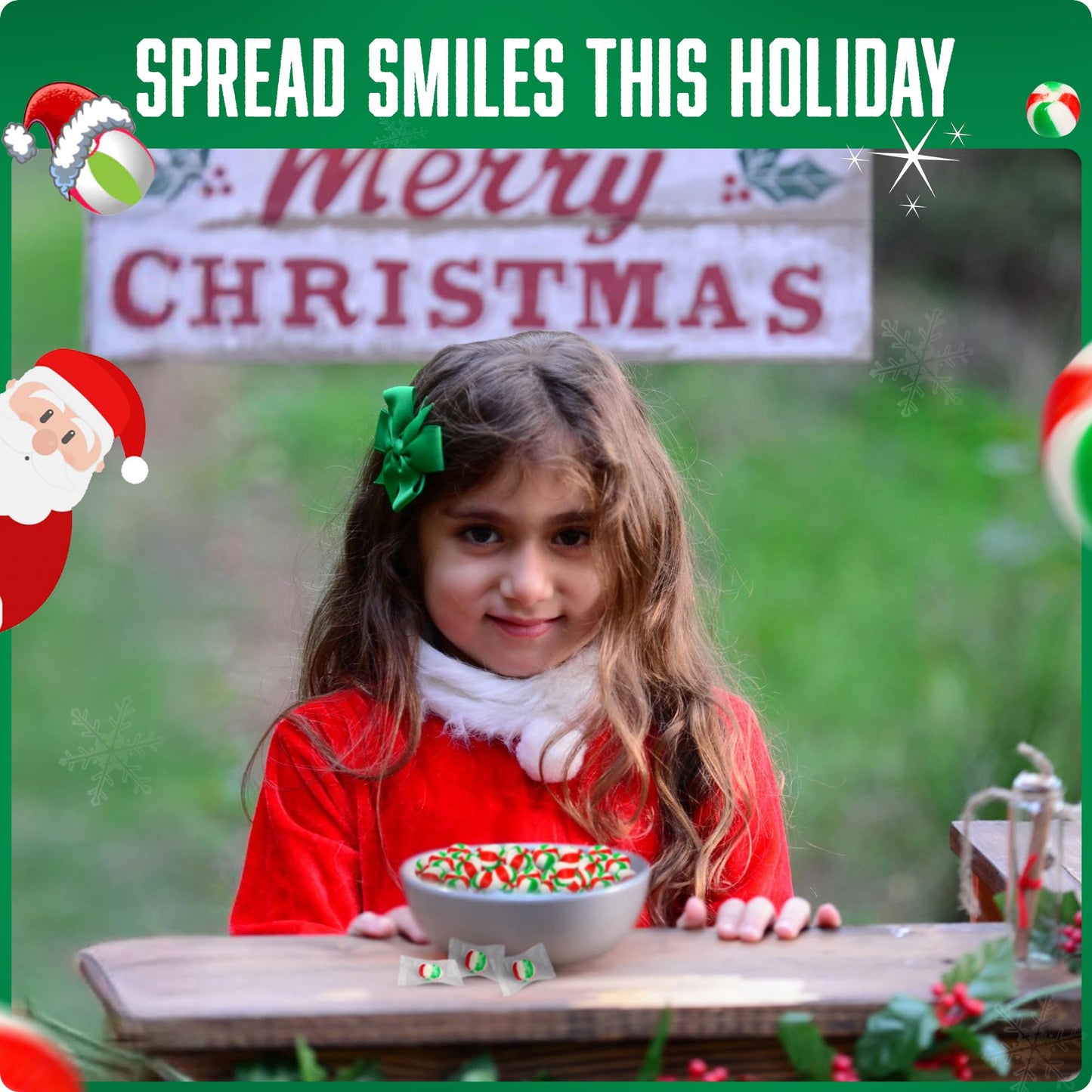 Stewart - Red & Green Striped Soft Peppermint Puffs, Festive Peppermint Candy | Not Just For Christmas | Individually Wrapped Ca