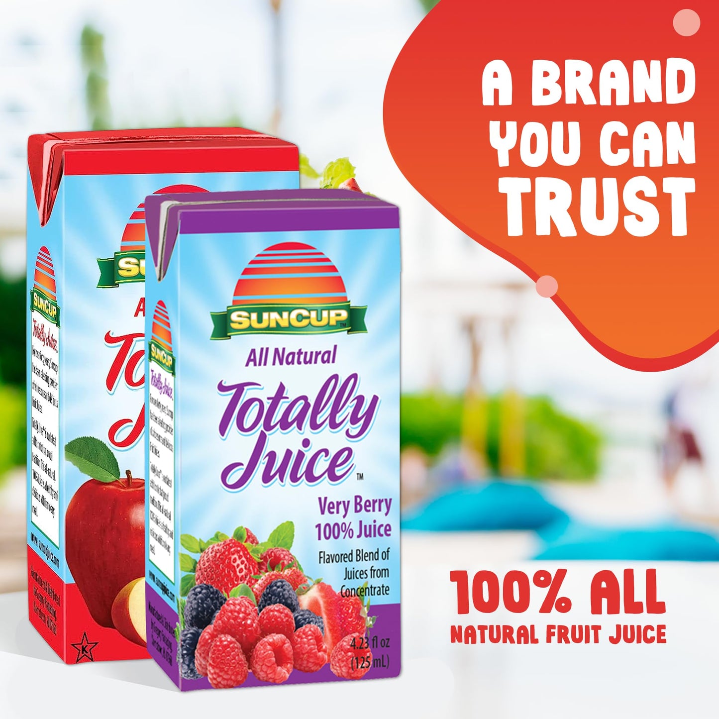 SunCup Totally Juice - 40 Pack / 4.23 oz Juice Box w/Straw (100% Apple Juice)