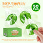 St Patricks Day Fortune cookies (50 Individually Wrapped) green With Irish Themed Sayings Party Favors & Treats by 4Es Novelty