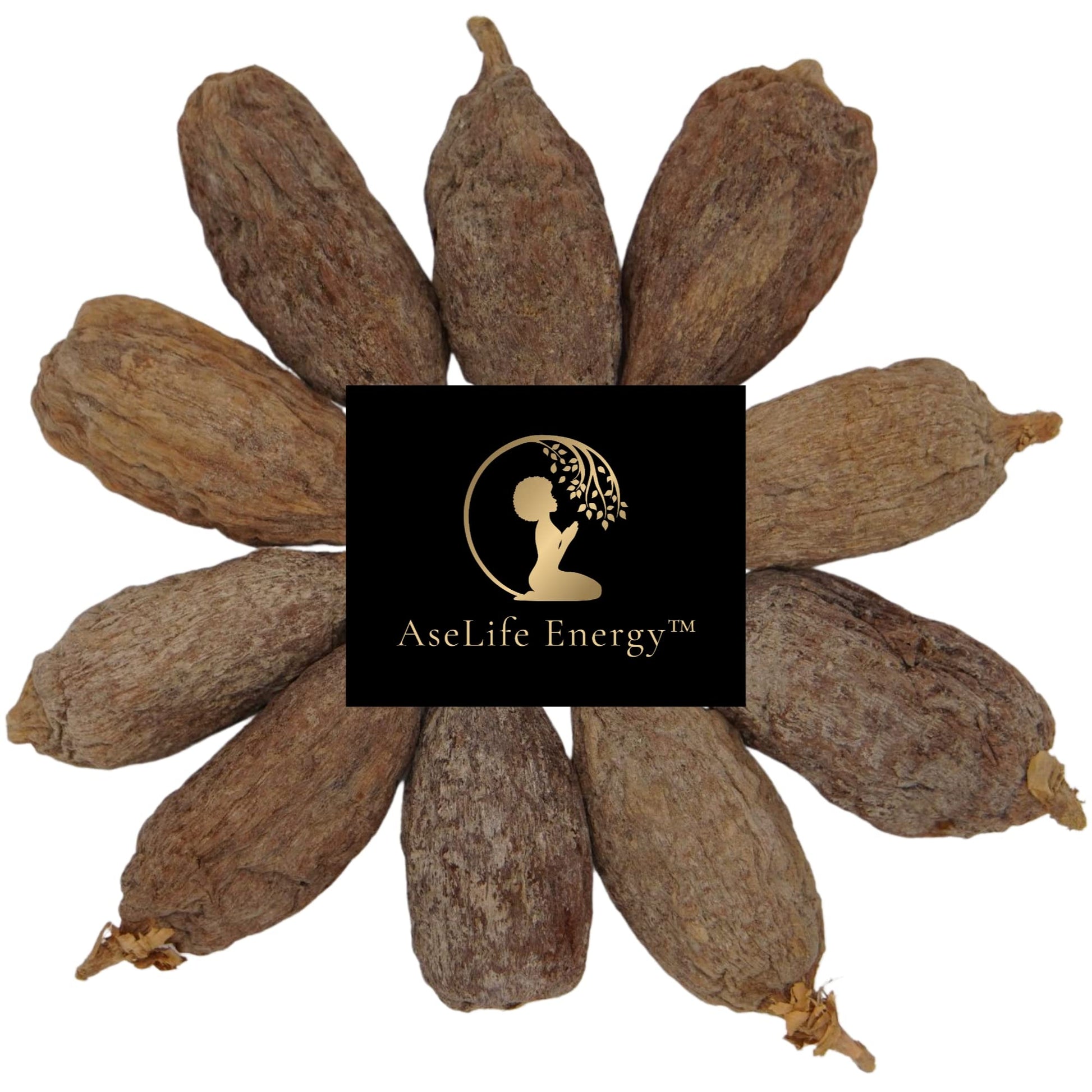 AseLife Energy Alligator Pepper Pods - 10 Count Grains of Paradise