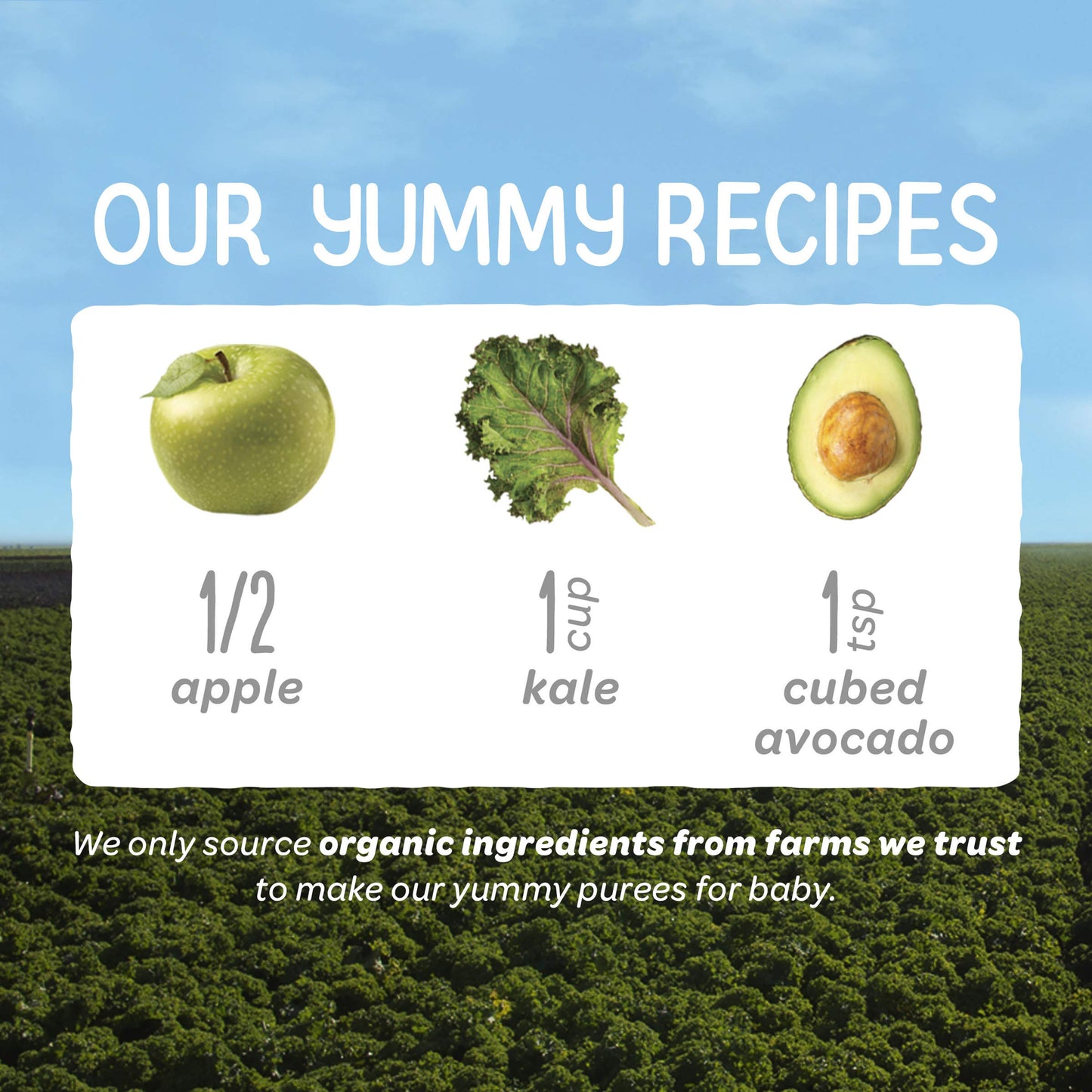 Happy Baby Happy Baby Clearly Crafted - Apples Kale And Avocados - Case Of 16 - 4 Oz(D0102H5N7Cx)