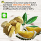 Durian King Of Fruit Vacuum Freeze Dried Fresh Durian Monthong Made From Real Fruit 50 Gram Or 1.75 Ounce Pack Of 2