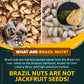 Urban Platter Exotic Raw Brazil Nuts | 3.53 Oz (100G) | Natural, Organic, Fresh, Shelled & Unsalted | Crunchy, Delicious & Healthy Party Snack | Ideal For Gift Giving, Dessert Or Baking