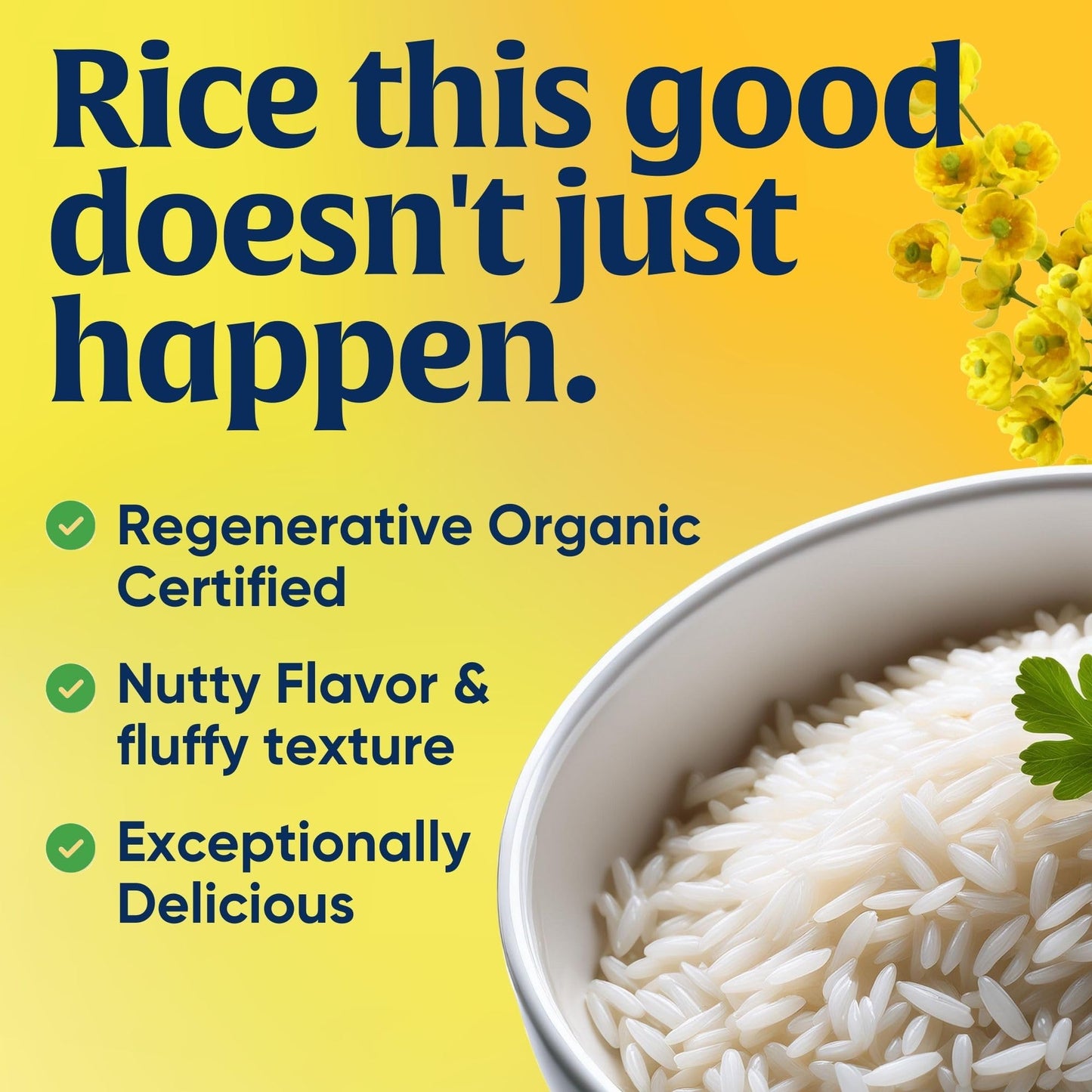 Lundberg Regenerative Organic Certified (ROC) Long Grain White Basmati Rice - Non-Sticky, Fluffy Aromatic Organic Rice Grown in