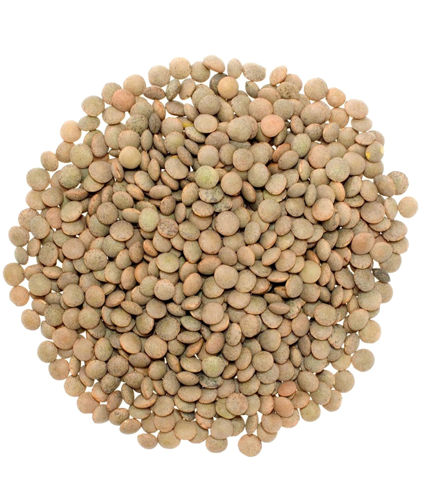 Small Brown Dry Lentils | 5 Lbs Plastic Free Packaging | Family Farmed In Washington State | 100% Desiccant Free | Non-Gmo | 100