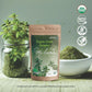 My Land Organic Greek Oregano from Mount Olympus, Greece - Perfect for Seasoning or Tea - Dried, Handpicked, Tiny Cut Oregano Le