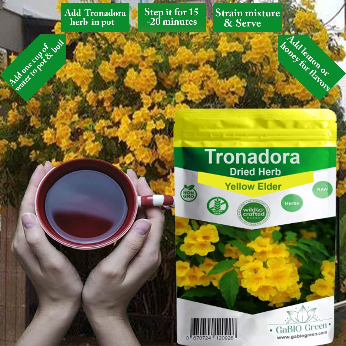 Gabio Green-Tronadora Retama, 16 Oz/ 1 Pound Gr Premium Quality Tronadora Tea, Resealeble Bag, Yellow Elder Herbs, Tronadora Hie