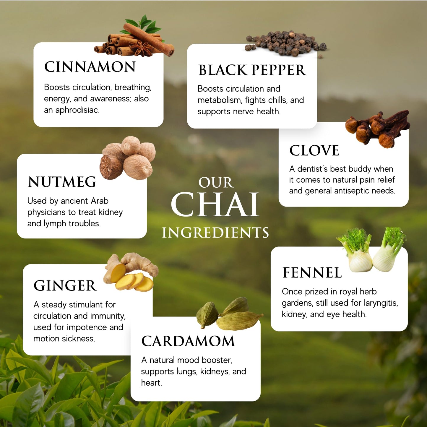 Third Street Chai Organic Dragon Tongue Ginger Chai Concentrate, 32 Fl Oz, Black Tea Latte, Vegan, Gluten Free, Kosher, Non-GMO
