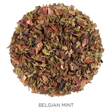 Tea Forte Organic Herbal Tea, Makes 35-50 Cups, 2.12 Ounce Loose Leaf Tea Canister, Belgian Mint