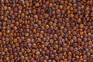Fresh Red Quinoa By RawJoy | Organic Fresh Red Quinoa Beans, 35 Pound