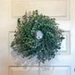 Fresh Eucalyptus Wreath Living Leaves 24'' [California] Baby Blue Variety [Shipped Overnight] For Front Door Natural Wreath For