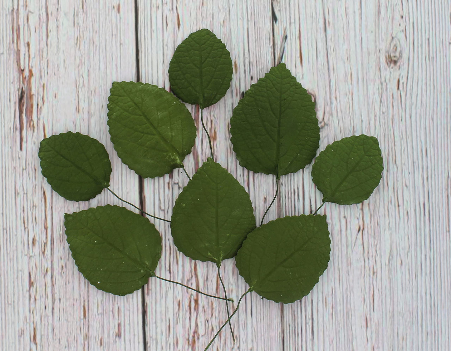 Global Sugar Art Hydrangea Leaves Sugar Cake Flowers Green Mix Of Large Medium And Small, 15 Count By Chef Alan Tetreault