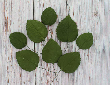 Global Sugar Art Hydrangea Leaves Sugar Cake Flowers Green Mix Of Large Medium And Small, 15 Count By Chef Alan Tetreault
