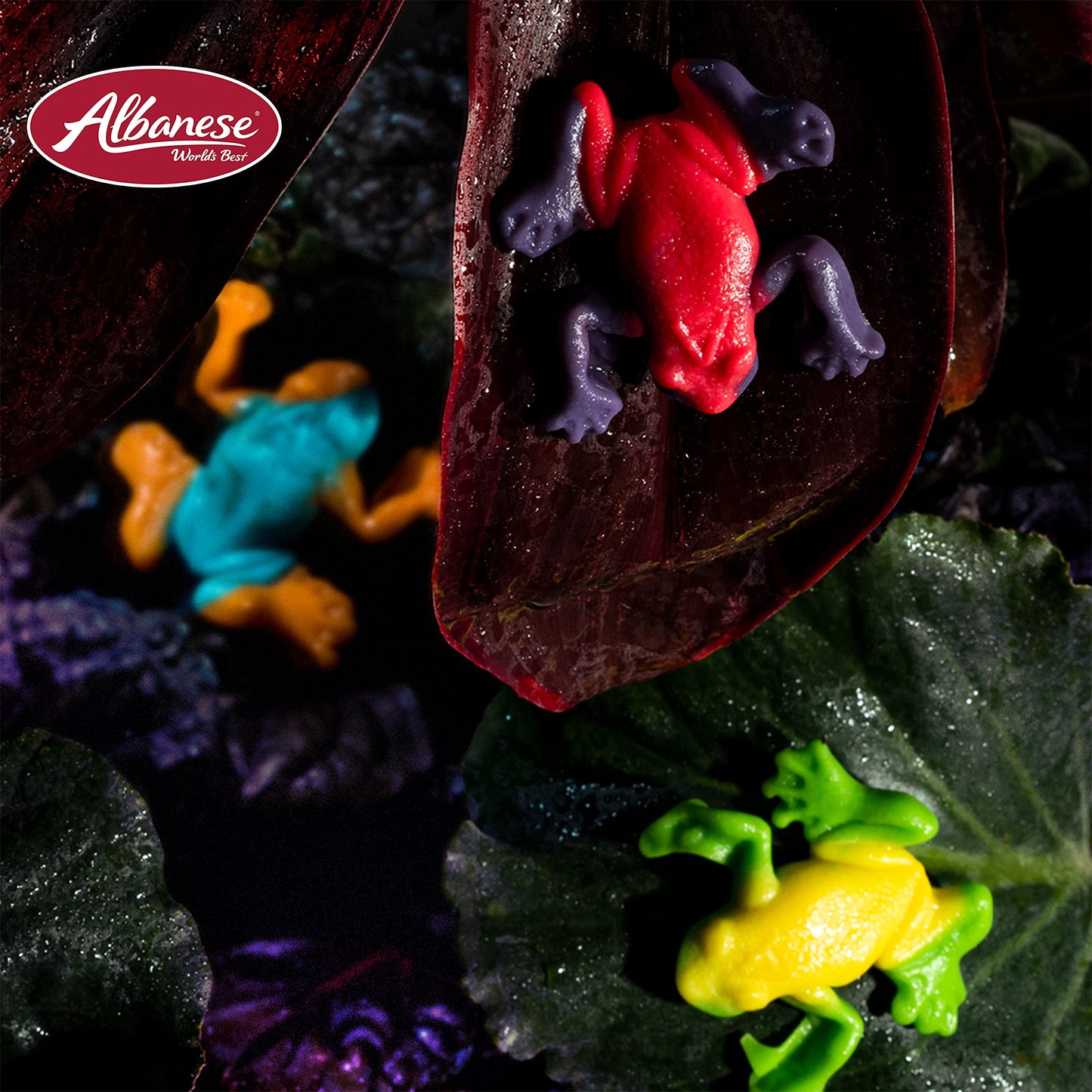 Albanese Worlds Best Gummi Rainforest Frogs  5lbs of Candy