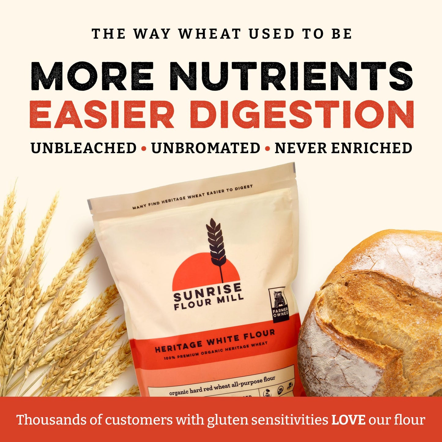 Sunrise Flour Mill Organic White Flour - USDA Non-GMO, High Protein, Unbleached, 32 oz - Perfect for Baking, White Color