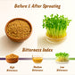 Spice Profile USDA Organic Fenugreek Seeds  Lab Tested for Heavy Metals  Resealable 4oz Pouch  Methi  Semillas de Fenogreco
