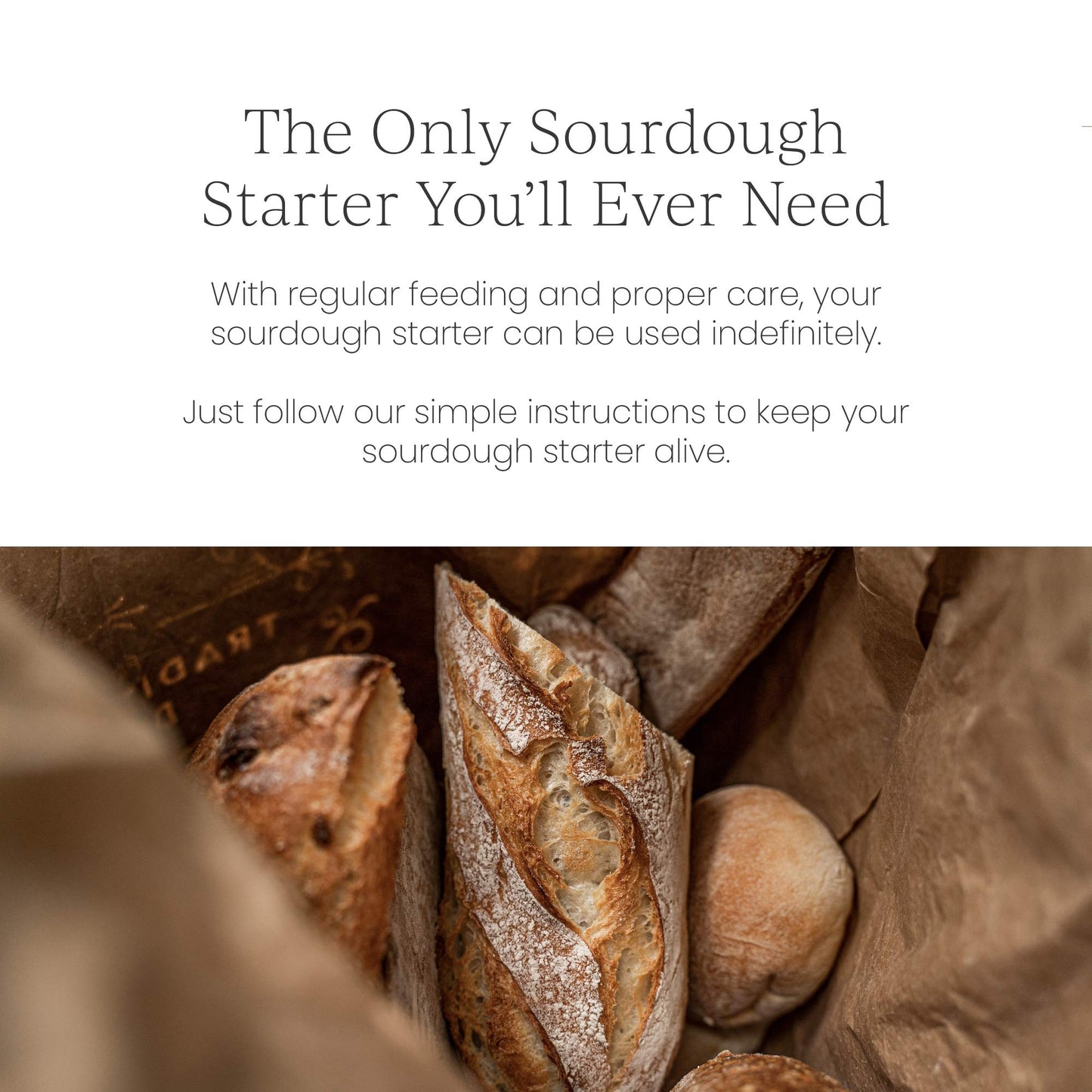 Breadtopia Sourdough Starter (Dry)  Made From Organic & Non-Gmo Ingredients  Easy To Follow Instructions  Make Homemade Sourdoug