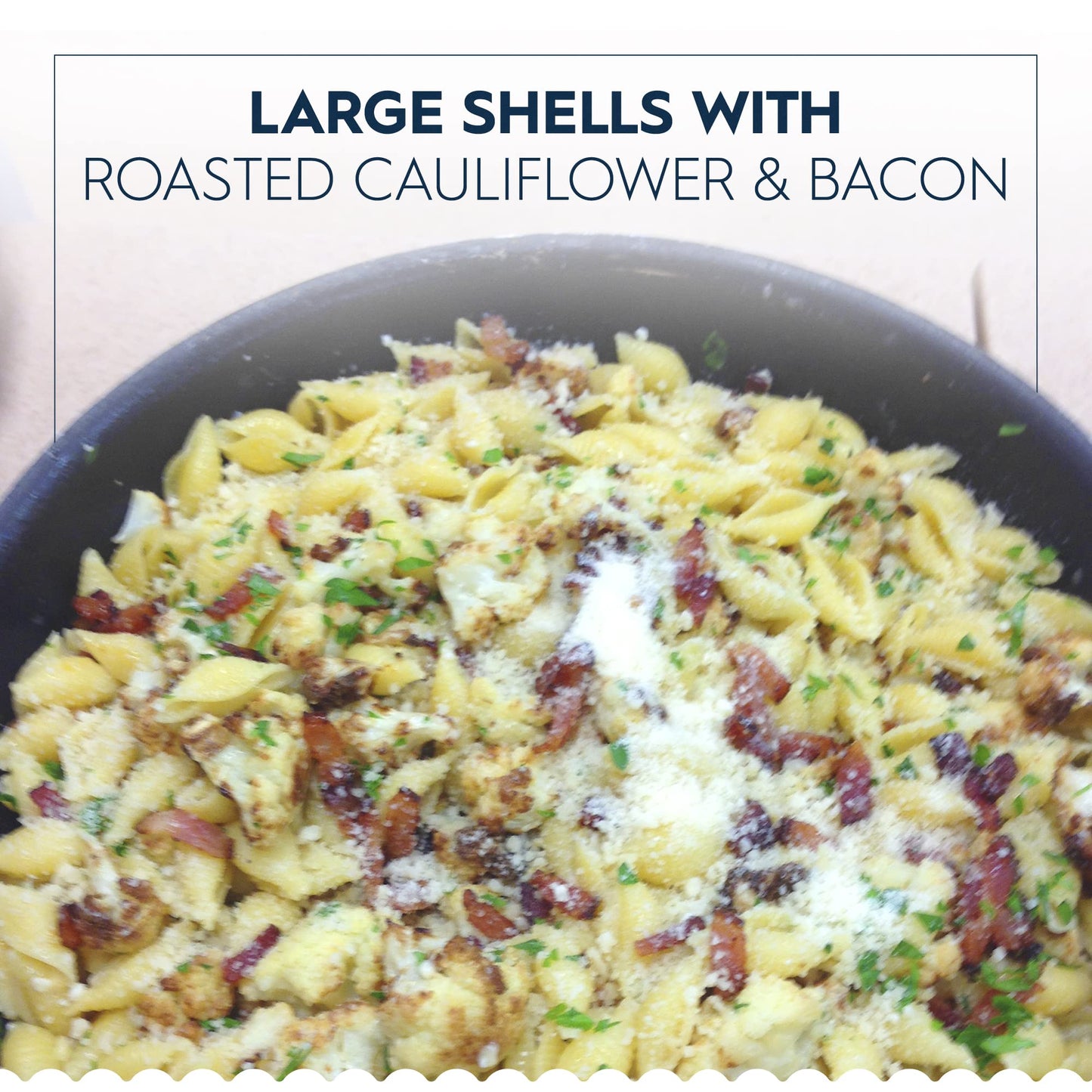 Barilla Large Shells Pasta, 16 oz