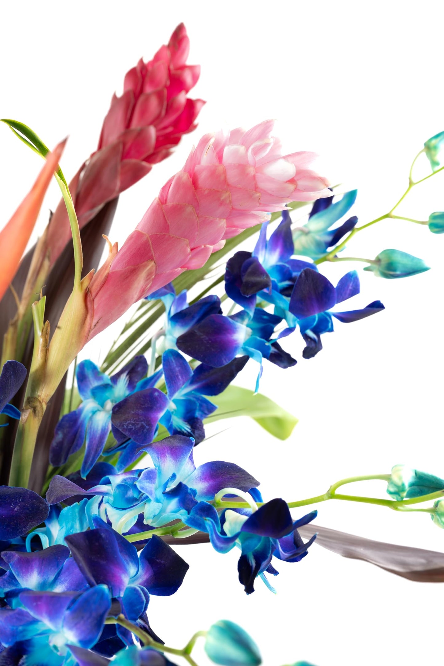 Fresh Orchids And Tropical Flower Bouquet, Perfect For Birthdays, Easter, Mother 'S Day, Anniversaries, Gifts, Etc. (Multicolor