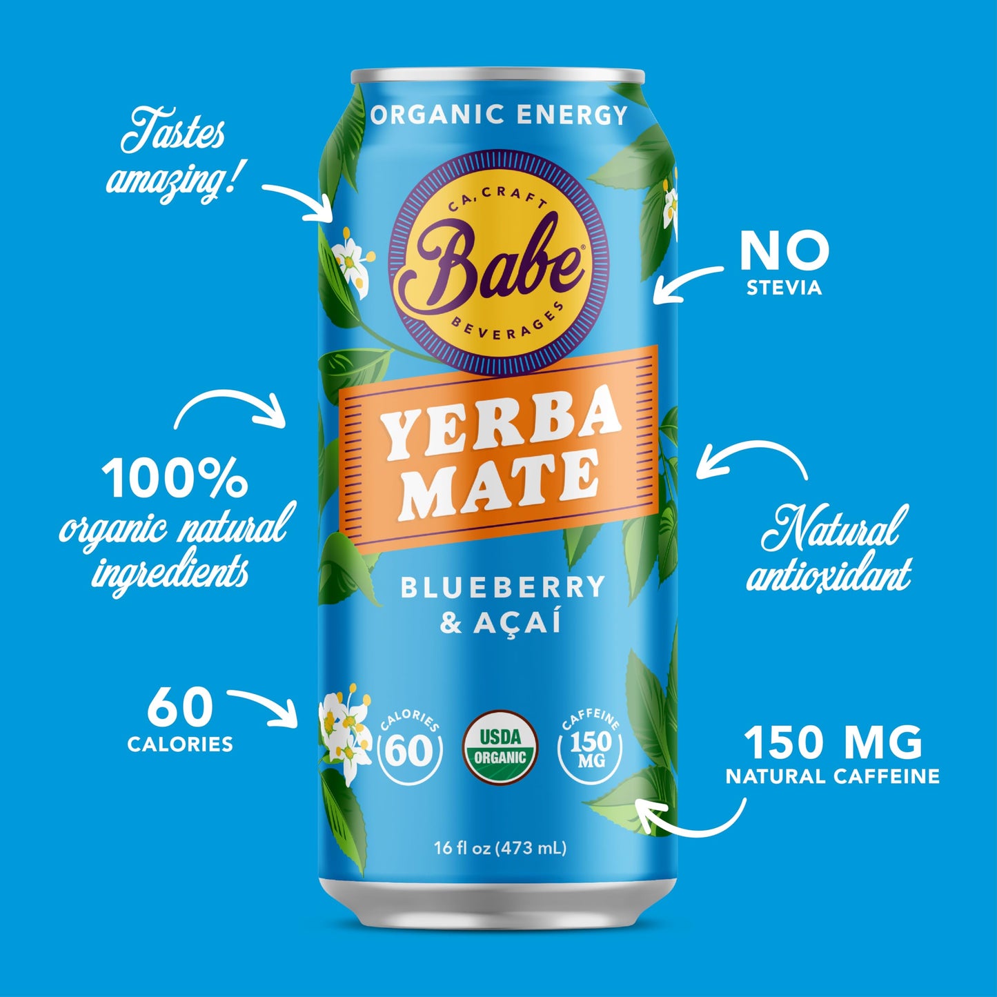 Babe Beverages Organic Yerba Mate Energy Drinks, 150mg Caffeine, Variety Pack (12 x 16oz Cans)