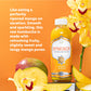 SYNERGY The Real Kombucha - Mystic Mango - 16 fl oz Bottle - Raw Probiotic Drink for Gut Health and Immune Support