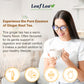 LeafLea Ginger Tea Bags, 100% Pure & Natural, Caffeine Free, Vegan, 40 Bags