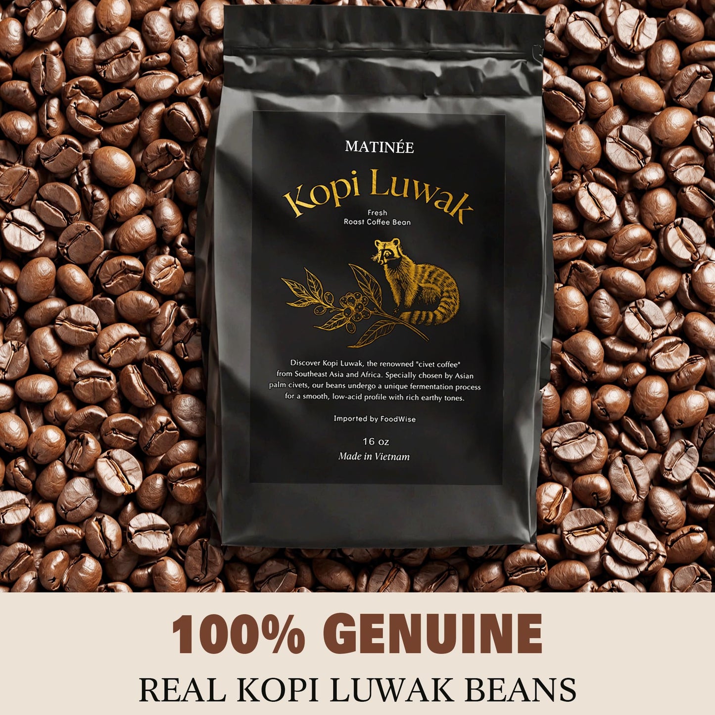 Matin  E Wild Kopi Luwak Coffee Beans, Medium Roast, Whole Bean Coffee, Civet Coffee, Wild Kopi Luwak Coffee - Sustainably Sourc