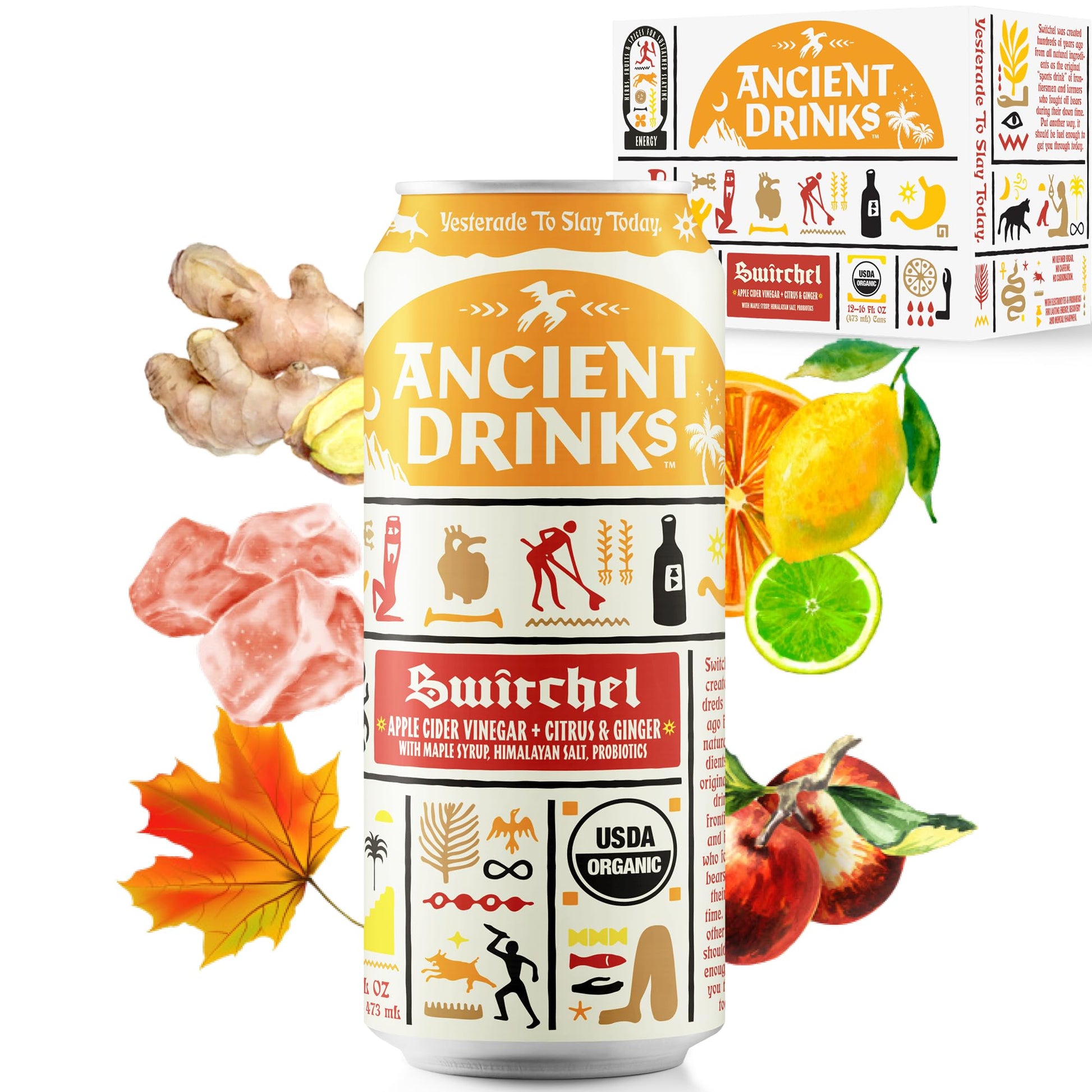 ANCIENT DRINKS Apple Cider Vinegar Beverage, Organic Sports Drink with Electrolytes & Probiotics, Citrus & Ginger, 16 fl oz (12 cans)