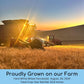 Hard White Wheat Berries | 25 Lbs | Family Farmed In Washington State | 100% Desiccant Free | Sproutable | Non-Gmo Project Verif