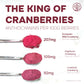 Jungle Powders Wild Cranberry Powder Organic 5 Ounces, Usda Certified Freeze Dried Organic Cranberries Powder For Baking Flavori