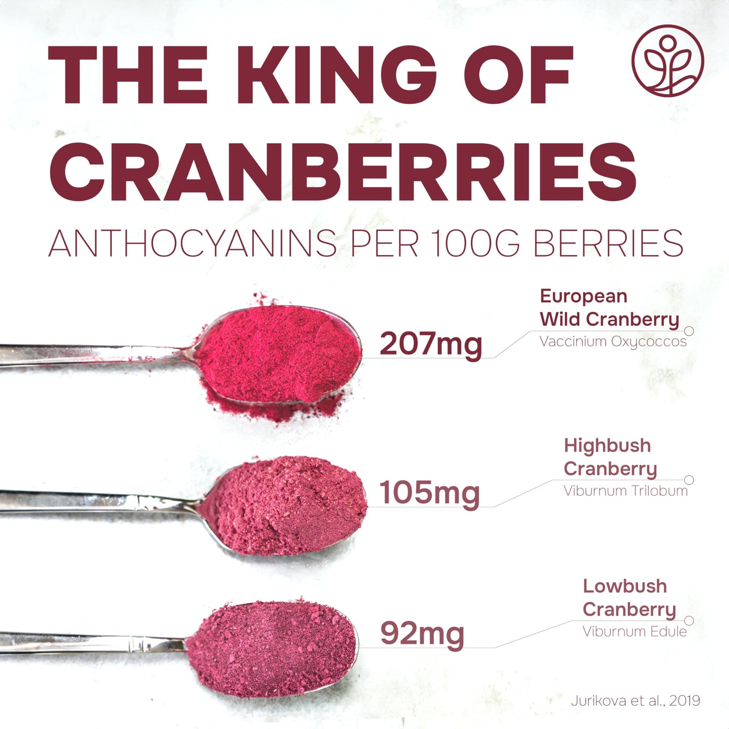 Jungle Powders Wild Cranberry Powder Organic 5 Ounces, Usda Certified Freeze Dried Organic Cranberries Powder For Baking Flavori