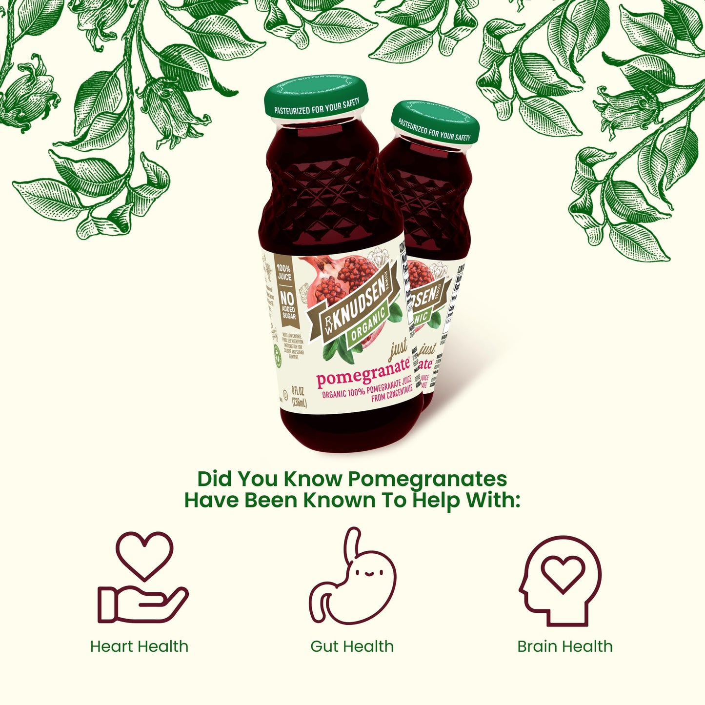 R.W. Knudsen Organic Pomegranate Juice, 8 Fl Oz (12 Pack) - Refreshing, All-Natural Beverage for Health & Wellness
