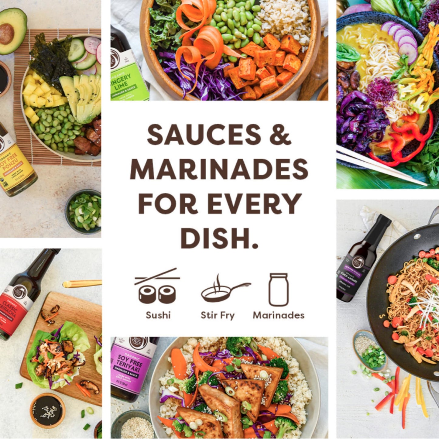 Big Tree Farms Organic Coco Aminos Soy-Free Sauce, Low Sodium, Gluten Free, Non-GMO, 10 Fl Oz, Variety Pack (Pack of 3)