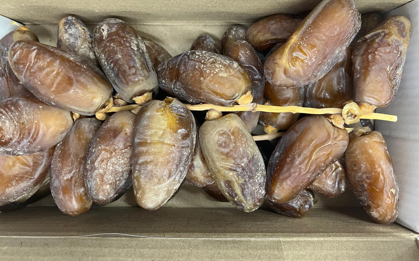 Vintagee Algeria Premium Branched Deglet Noor Dates, 1Lb, Product Of Algeria