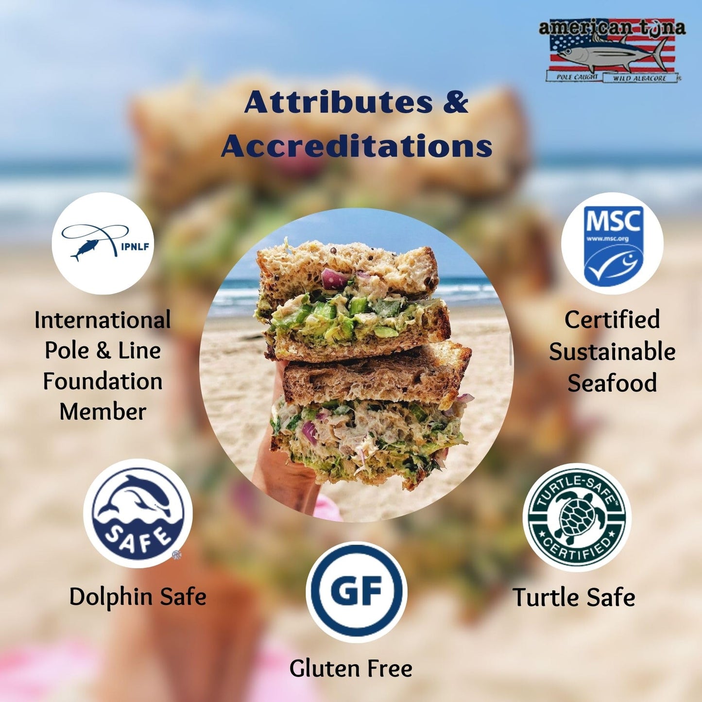 American Tuna Sushi-Grade Wild Albacore Tuna Fish - No Salt Added, Wild Caught, Msc Certified, Pole Caught | (12) 6 Ounce Cans | Super Enhanced Canned Tuna For Health And Flavor Enthusiasts!