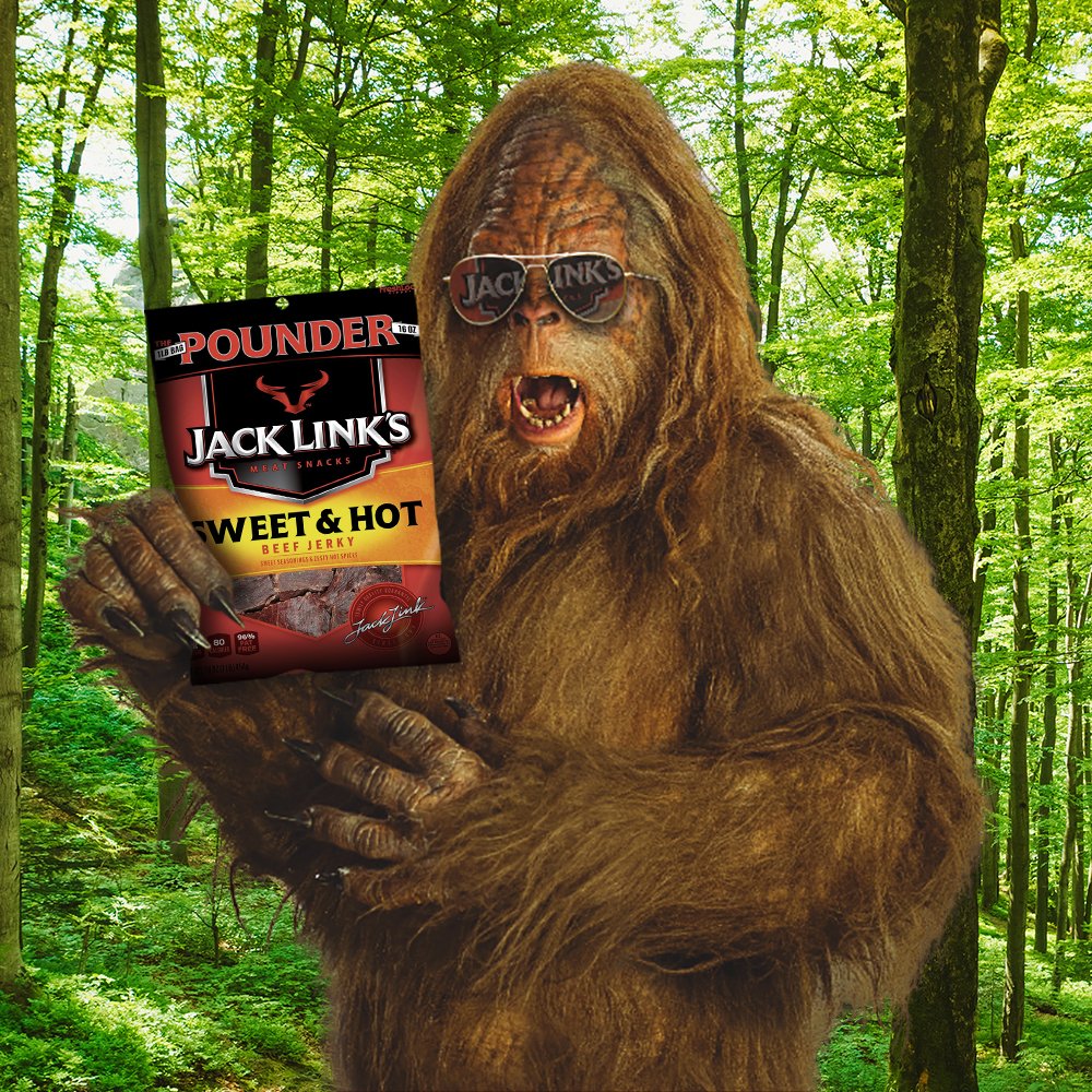 Jack Link's Beef Jerky, Sweet & Hot, 16 Ounce (Pack of 1)